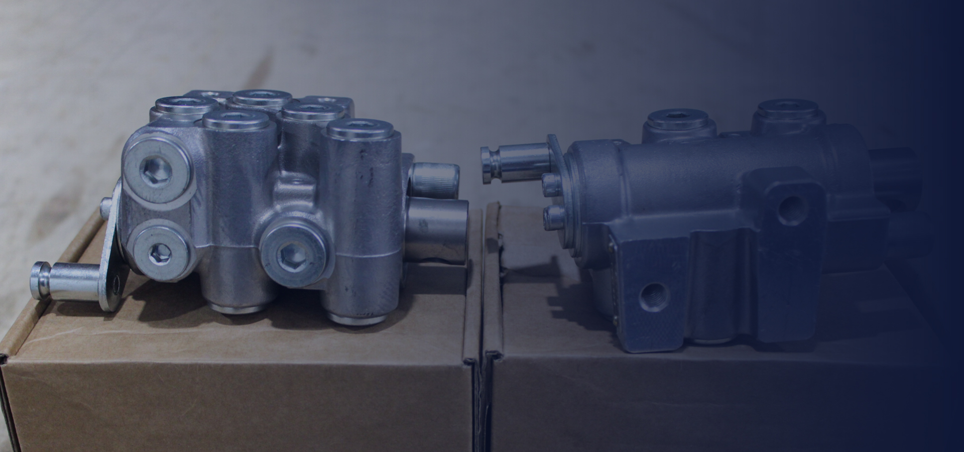 Bodega y estanterías