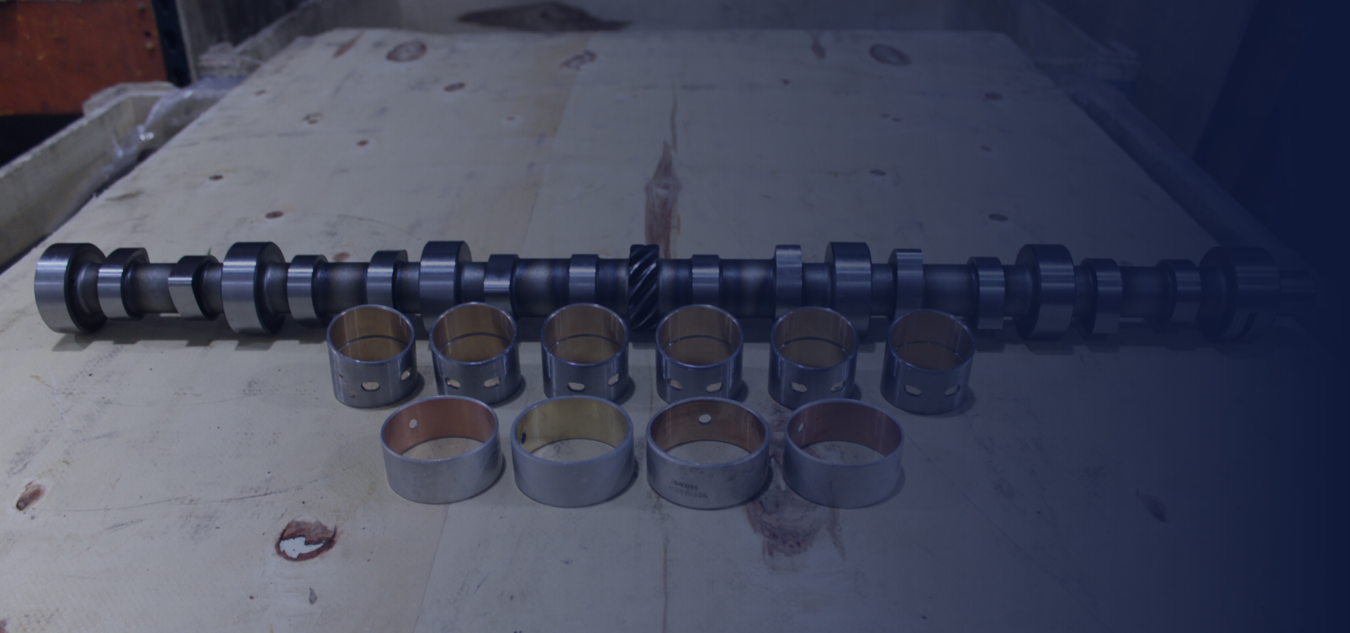 Bodega y estanterías